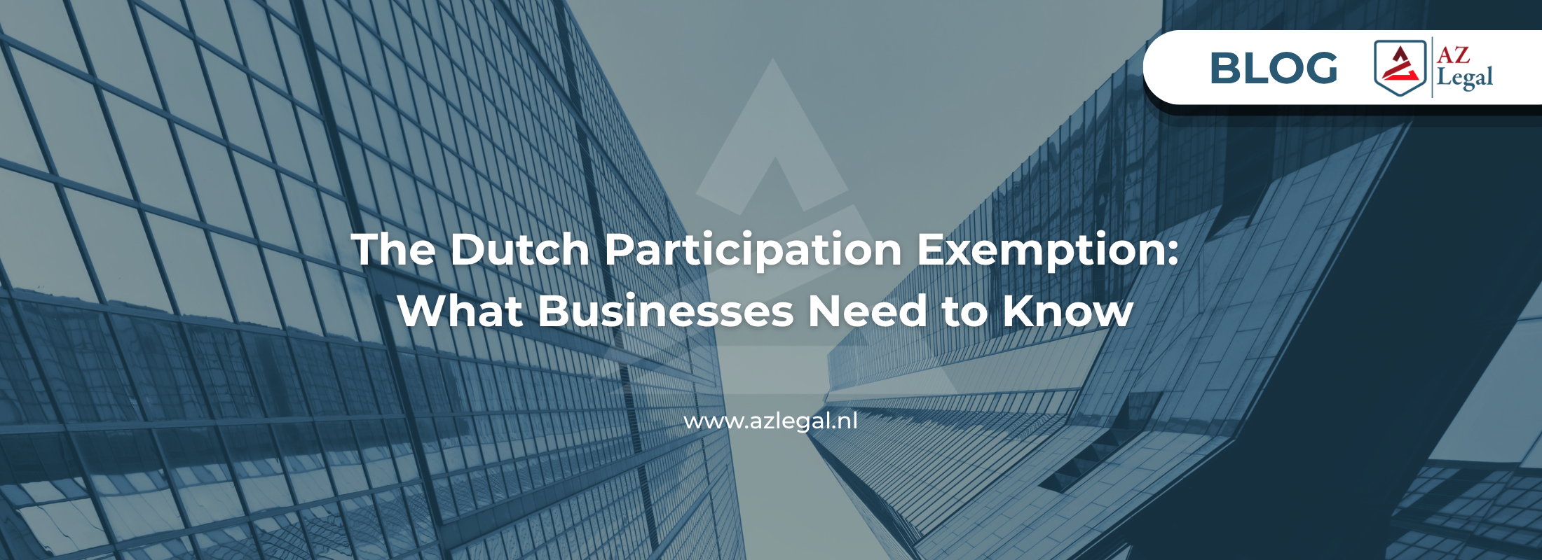 The Dutch Participation Exemption: What Businesses Need to Know (2026)